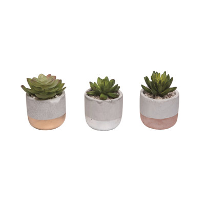  Plastique / plante grasse Dol avec ensemble de 3 décorations de printemps