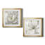 Pivoine parfaite - ensemble de 2 cadres photo sur papier-20129226-20129236-20129237