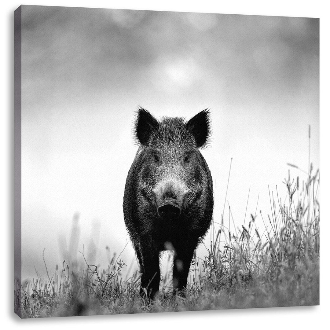 Leinwandbild Wildschwein auf einer Wiese im Nebel