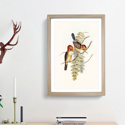 Yellow-Billed Kingfishers by Elizabeth Gould - Picture Frame Art Print