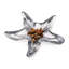 Starfish Dish