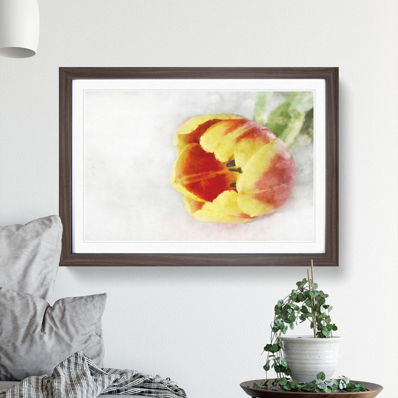 Tulip in Red & Yellow - Picture Frame Painting Print, 45cm H x 63cm W x 2cm D, Walnut Framed