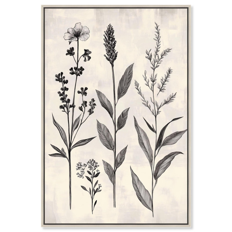 "Meadow Herbs I", impression murale sur toile par Art Remedy, cadre argenté, 16 x 24, H 25 po x l 17 po, Cadre argenté