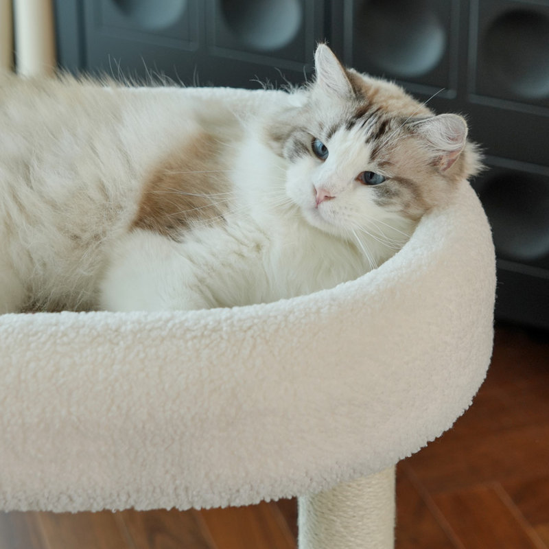 Support à griffer pour chat Fairela