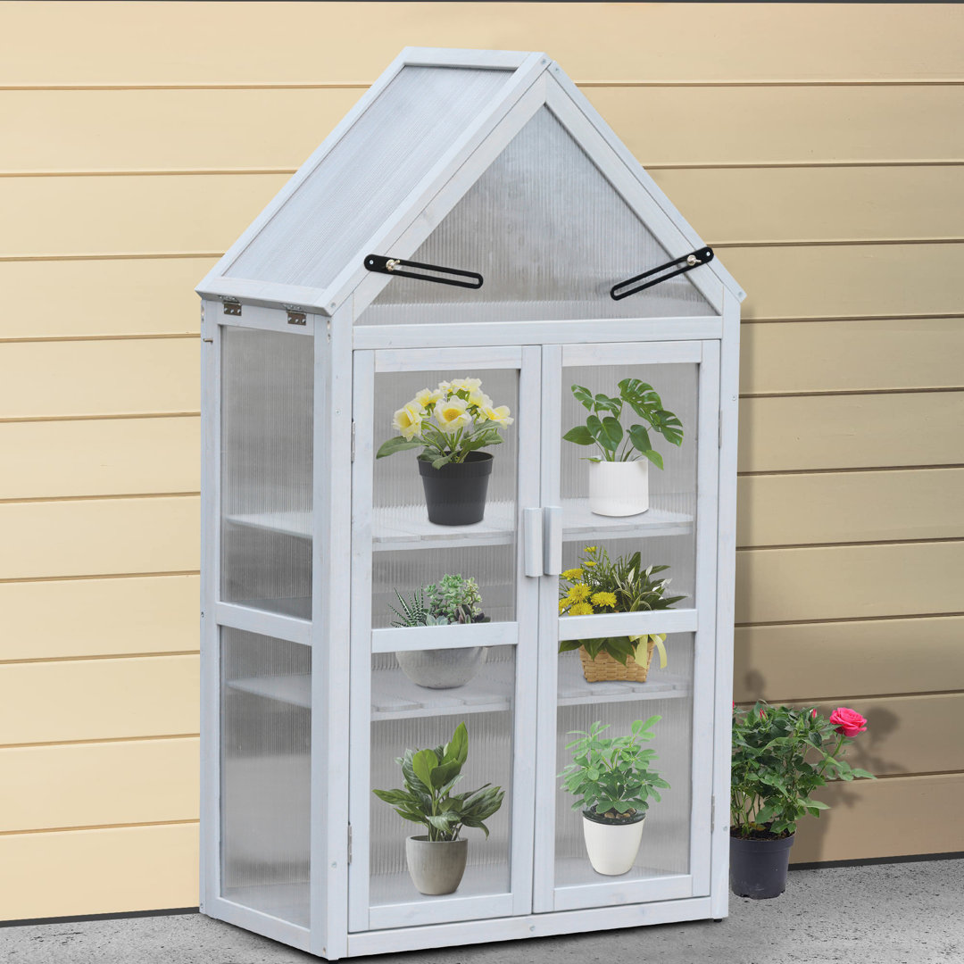Wood Outdoor Plant Stand, Garden Cold Frame Greenhouse Flower Planter With Adjustable Shelves, Double Doors Arlmont & Co.