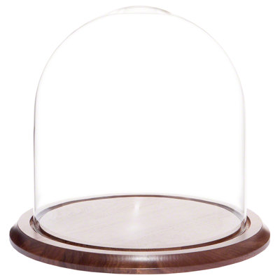 Vucciria Glass Display Dome Cloche