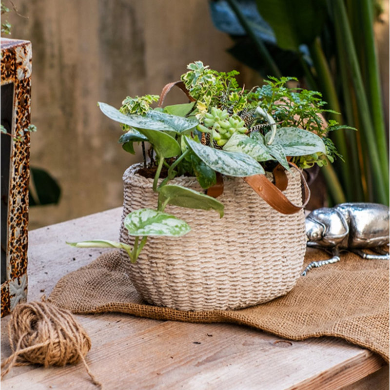 Pot Planter