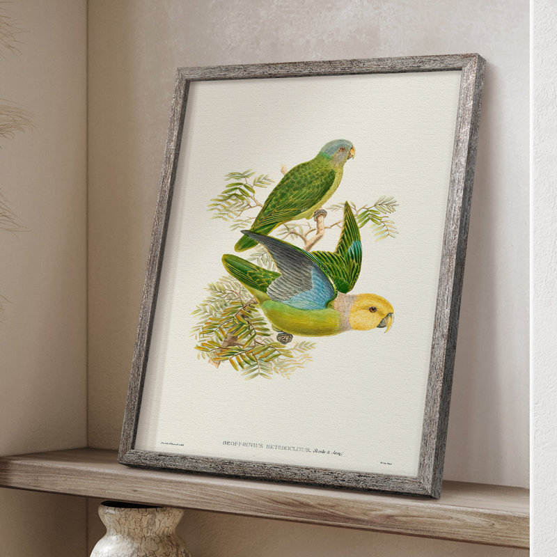 Lime&CeruleanParrotsI Framed Print - Solid Wood 2768855, 21" H x 17" W