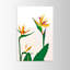 Nature Inspired Birds of Paradise III by  - Picture Frame Wall Art-80421289-80421290-129099422