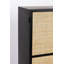Guuji Accent Cabinet