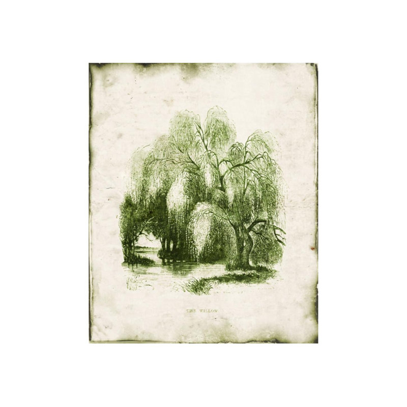 «Evergreen I» par Zoey Riley - Peinture, Extérieur, H 29 po x l 24 po x P 1,5 po