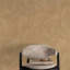Textured Vibes Collection Authentic Plaster Wallpaper Roll-2131774367