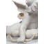Eros and Psyche Figurine