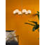 Aydrian 6 - Light Brass Pendant