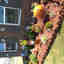 Photos des clients 1 de 1