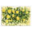 " Lemons " Painting Print