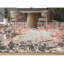 One-of-a-Kind 8'1" X 10'2" Area Rug