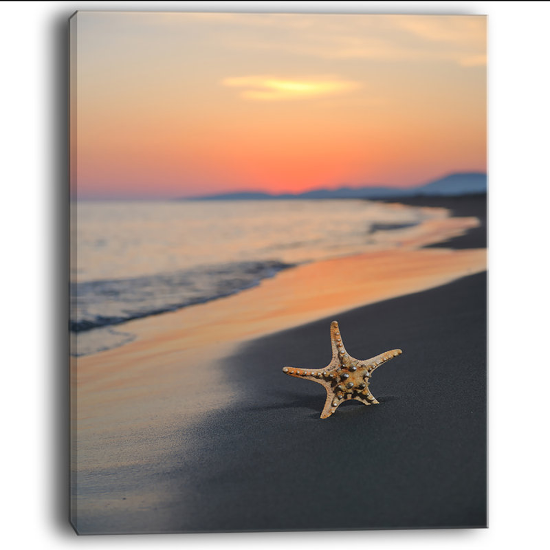 «Summer Beach with Starfish», photographie, H 40 po x l 30 po x P 1,5 po, Toile tendue avec châssis
