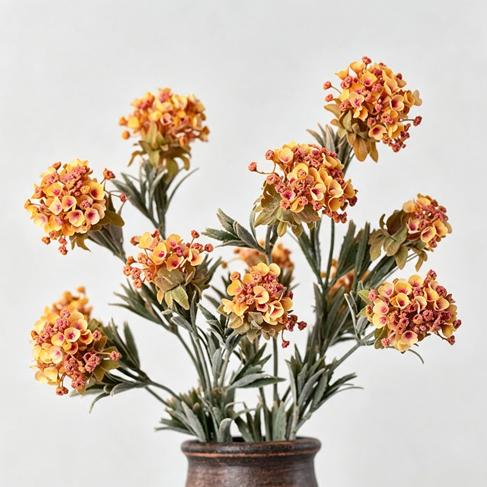 Audet Sweet Alyssum Stems, Orange