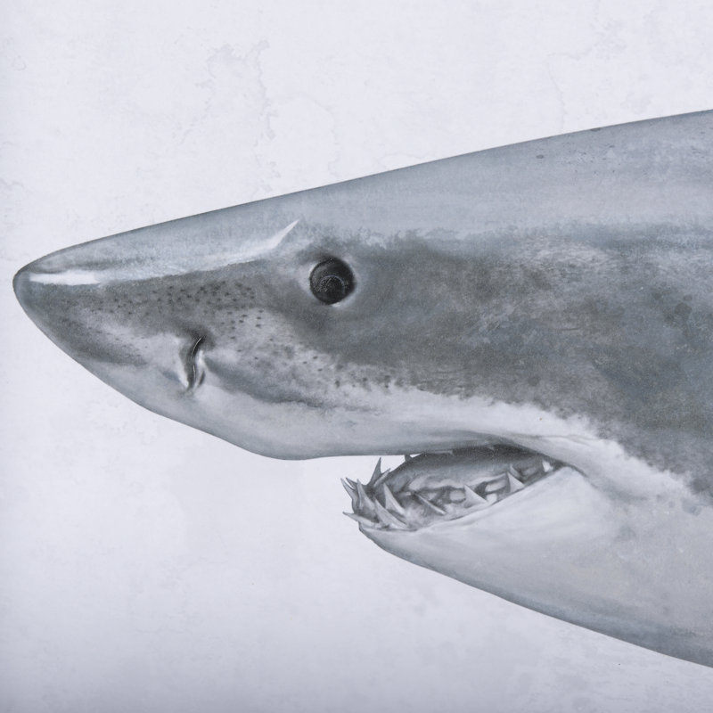 Great White Shark by Ariana a Hand Embelished Textured Framed Art Print Matted under Glass