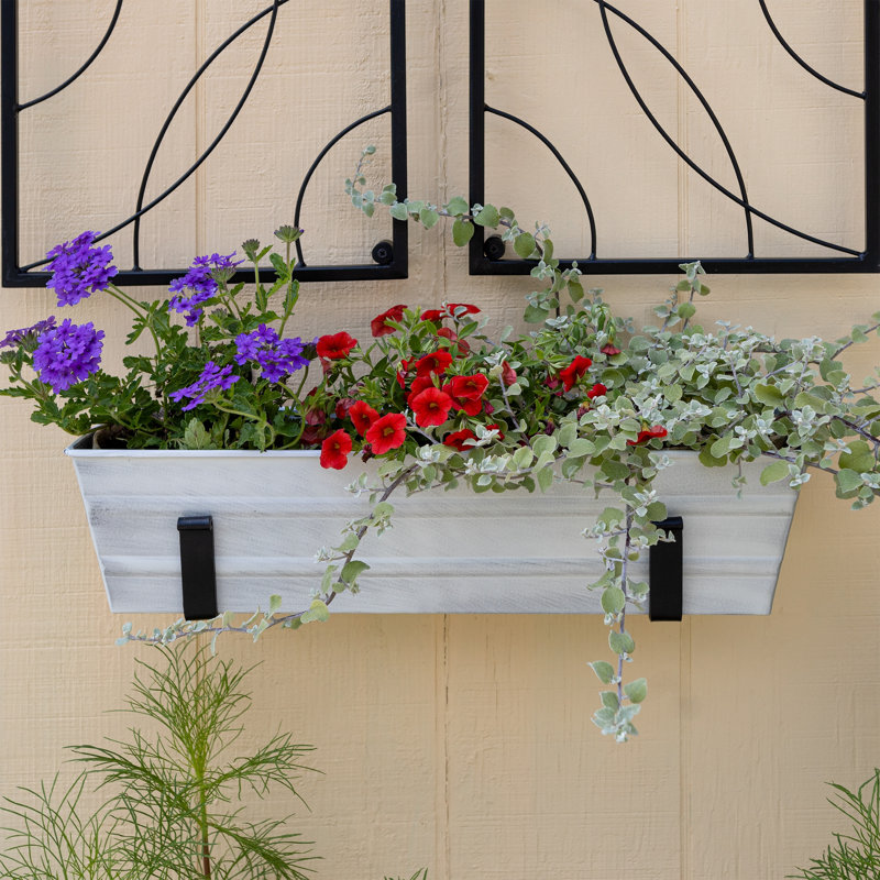 Small White Galvanized Flower Box with Black Brackets