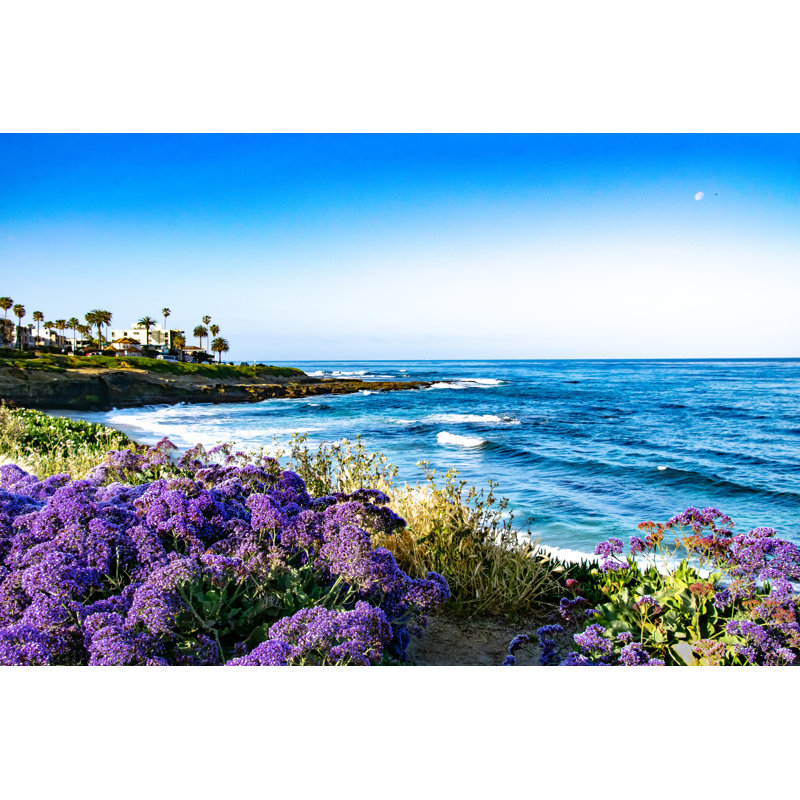 Purple Flowers On The Coast - Wrapped Canvas Print, 30cm H x 46cm W x 3.8cm D