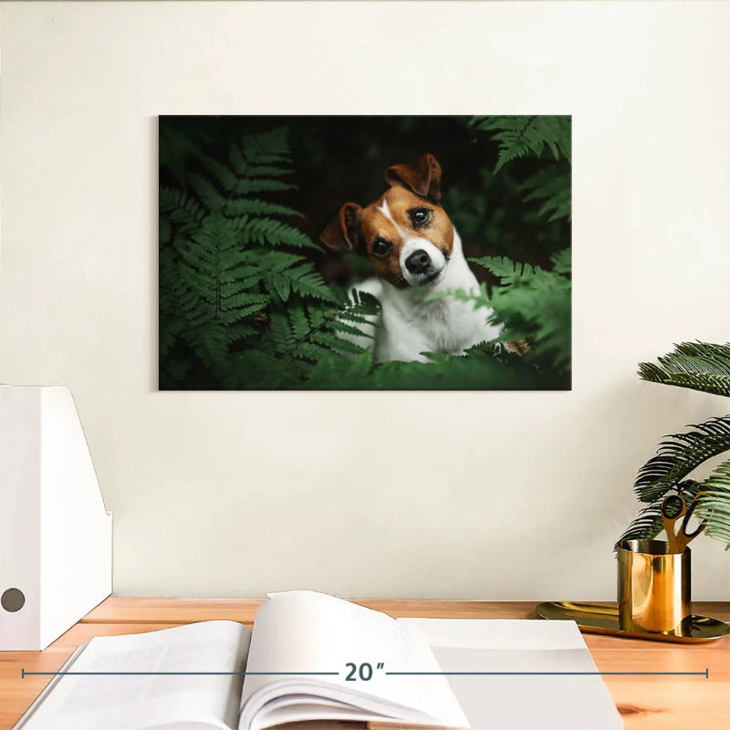 Adorable terrier