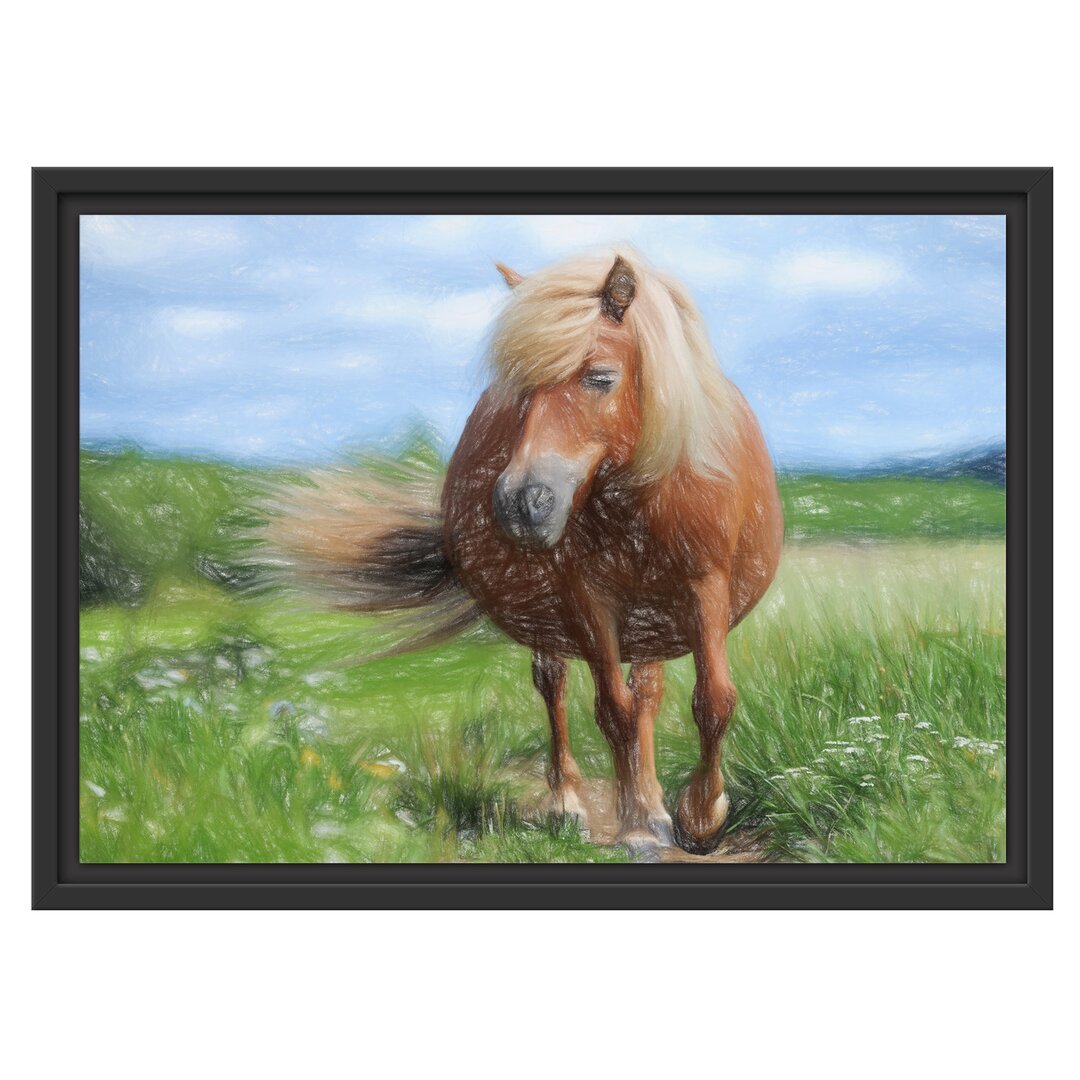 Gerahmtes Wandbild Shetlandpony auf der Wiese