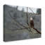 Fillmer «Bald Eagle Perched», reproduction de photo sur toile tendue-30357447