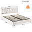 Denyel Upholstered Ottoman Storage Bed-1294911349