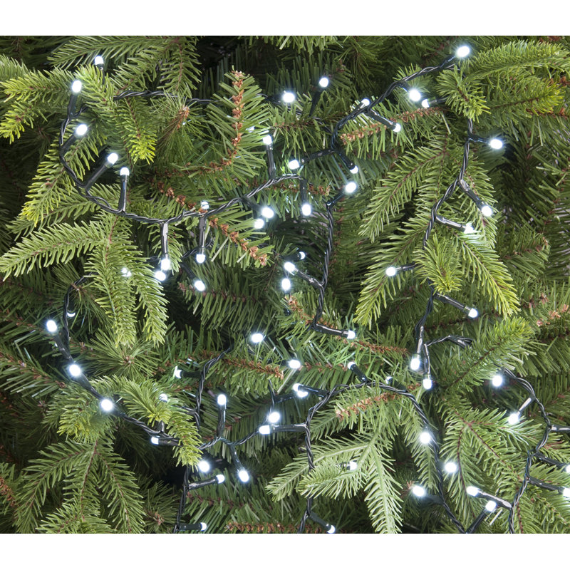 Aurora 5816.6cm LED Indoor / Outdoor String Lights, Cool White