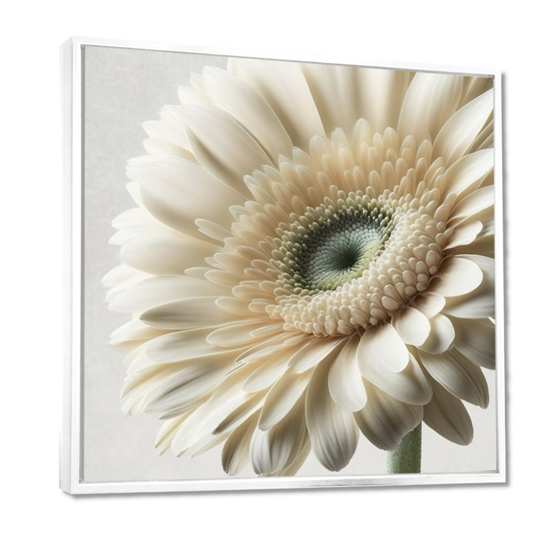 Gerbera blanche III - art mural Gerbera, H 30 po x l 30 po, Cadre flottant blanc