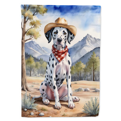Drapeau Cowboy Welcome House