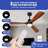 Aranit Ceiling Fan with LED Lights