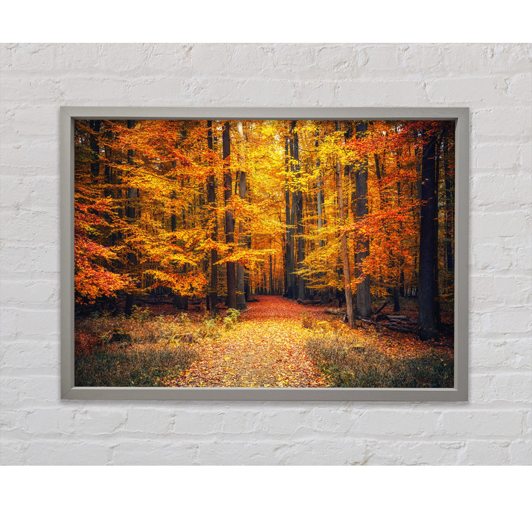 Orange Woods In The Autumn - Einzelne Bilderrahmen Kunstdrucke auf Leinwand