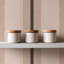 Miami Stripe - Papier peint-1384917777-1384917772