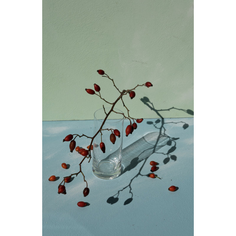 Wrapped Canvas Print, 50.8 cm H x 76.2 cm W