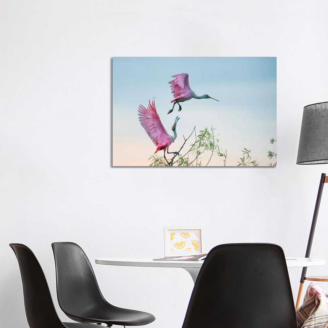 Rosy Pair (Roseate Spoonbills) by C. Mei - Wrapped Canvas Photograph