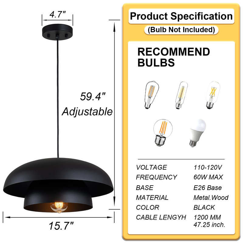 Ceiling Hanging Light Fixtures, Black