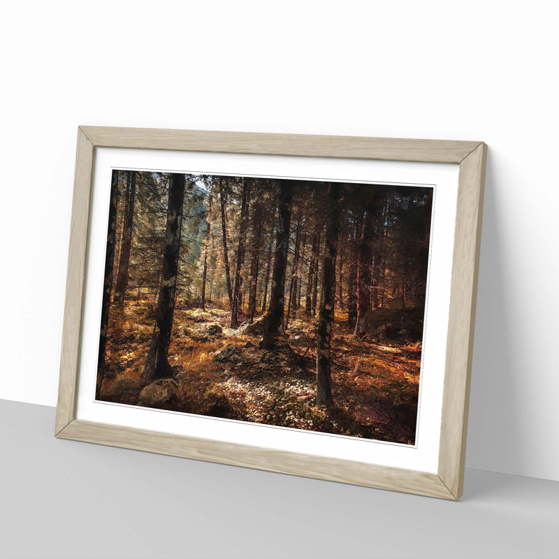 Within the Woods - Framed Print, Oak Framed, 27cm H x 36cm W x 2cm D