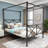 Queen Size Ornate European Style Canopy Platform Bed, No Box Spring Required Black-toned Metal Frame