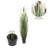 Artificial Straight Grass and Cattails-1658597950