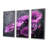 Viraj - Poppies Wall Art Print Set-107196689-107196692