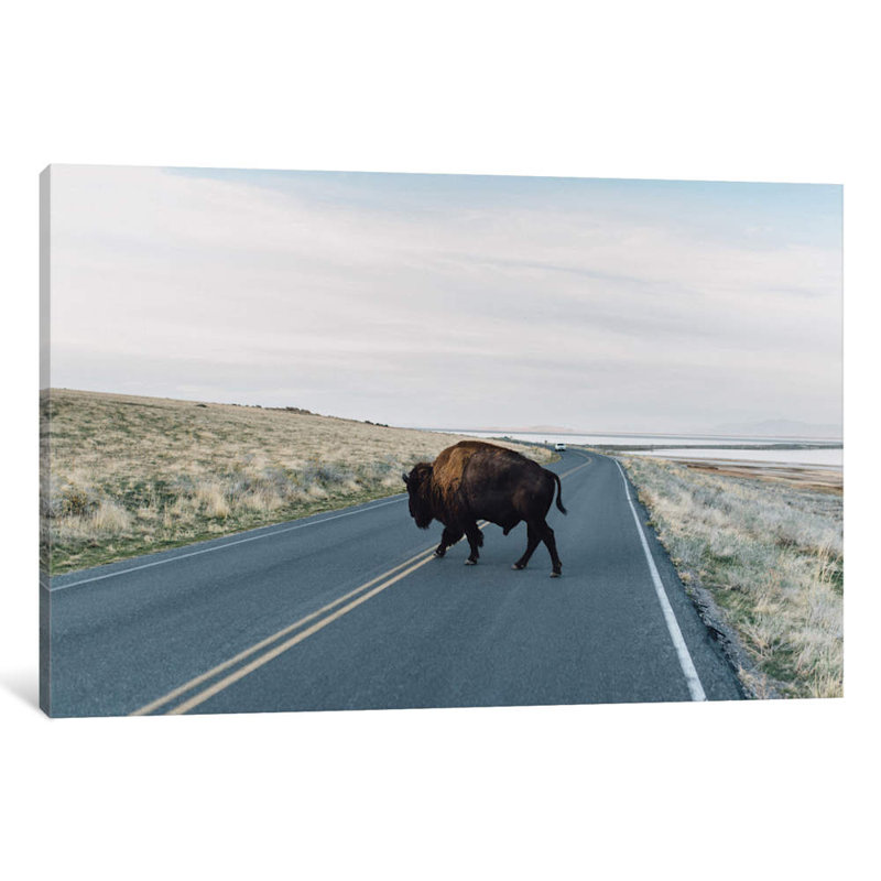 Buffalo Bison by Chelsea Victoria - Print on Canvas, Wrapped Canvas, 20.32 cm H x 30.48 cm W