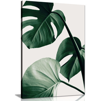 Monstera Plant Leaves - Wrapped Canvas Print