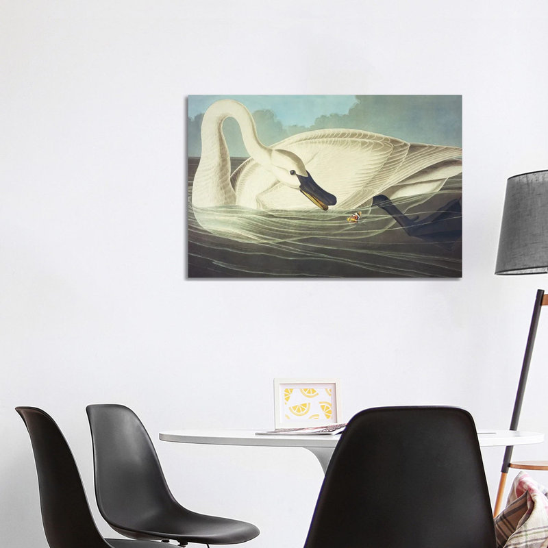 Trumpeter Swan II by John Audubon - Painting on Canvas, Wrapped Canvas, 101.6 cm H x 66.04 cm W x 1.91 cm D