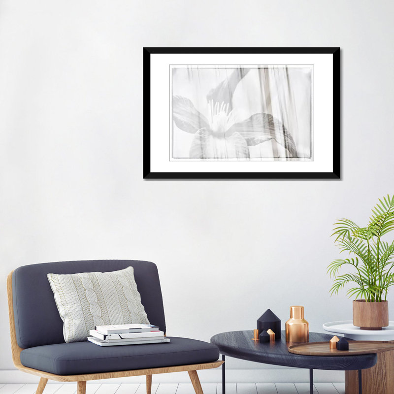 «Black and White Clematis» par Savanah Plank, impression sur toile, H 24 po x l 32 po x P 1 po, Papier avec cadre noir, Blanc