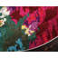 Tapis rose / vert Rizer-19498571
