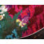 Tapis rose / vert Rizer-19498572