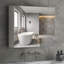 Bobby-James 27.6'' W 23.6'' H Framed Medicine Cabinet with Mirror and 6 Adjustable Shelves